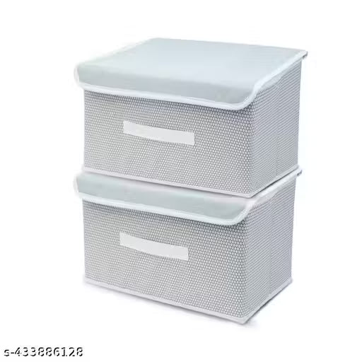 Foldable Garments Organizer / Set of 2 (Big Size) for Storing Clothes, Books, Toys and Other Essential Items